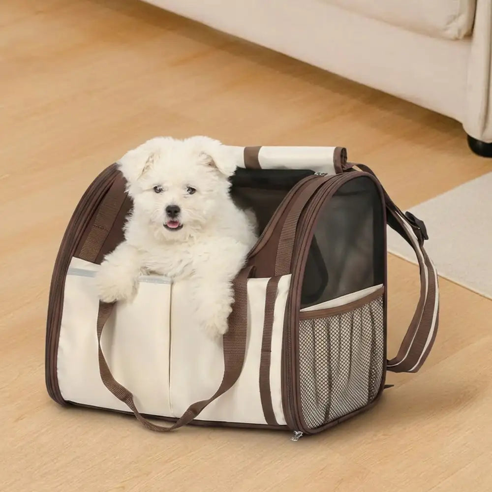 Foldable Mesh Pet Carrier Backpack and Tote