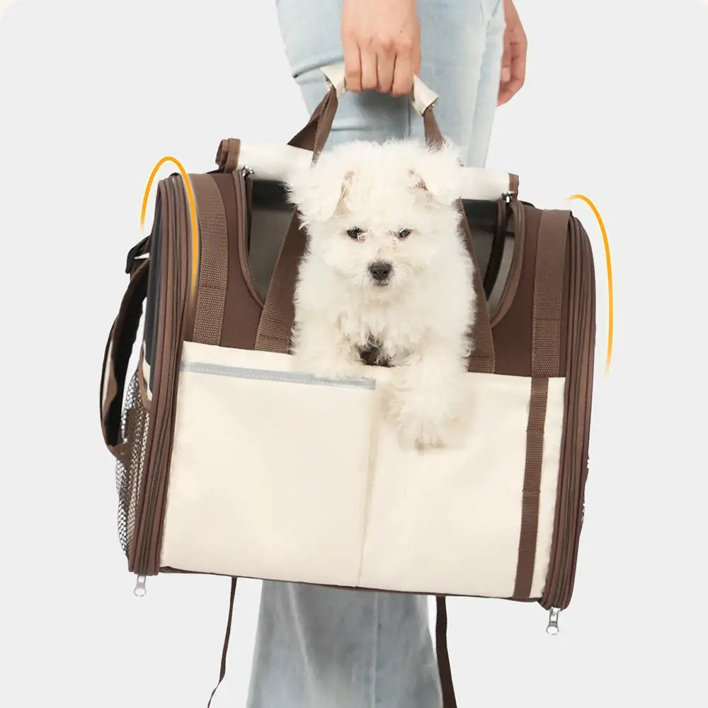Foldable Mesh Pet Carrier Backpack and Tote