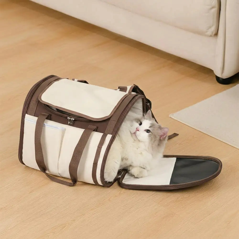 Foldable Mesh Pet Carrier Backpack and Tote